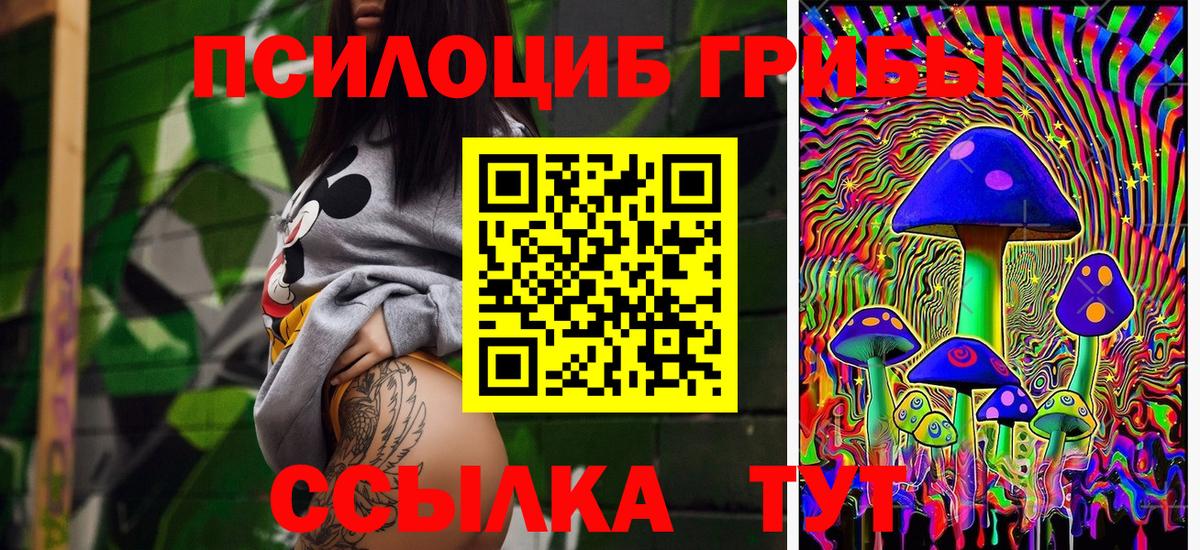 Сунжа  Галлюциногенные грибы прущие грибы  Псилоцибиновые грибы Cubensis  Вход с VPN 